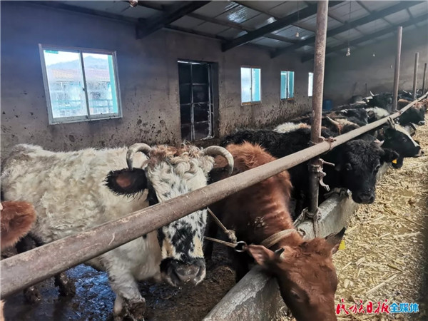 202002071581038113897255.jpg 640.webp (2).jpg