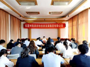 臨夏州凱潤農牧投資發(fā)展集團有限公司  召開黨史學習教育專題輔導